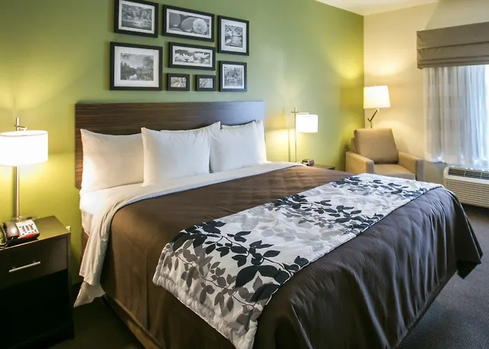 Sleep & - Austin North 5* Round Rock