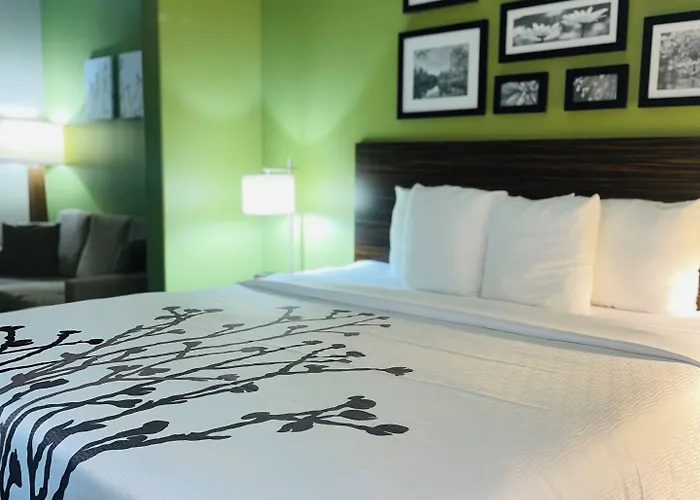 Sleep & - Austin North Hotel
